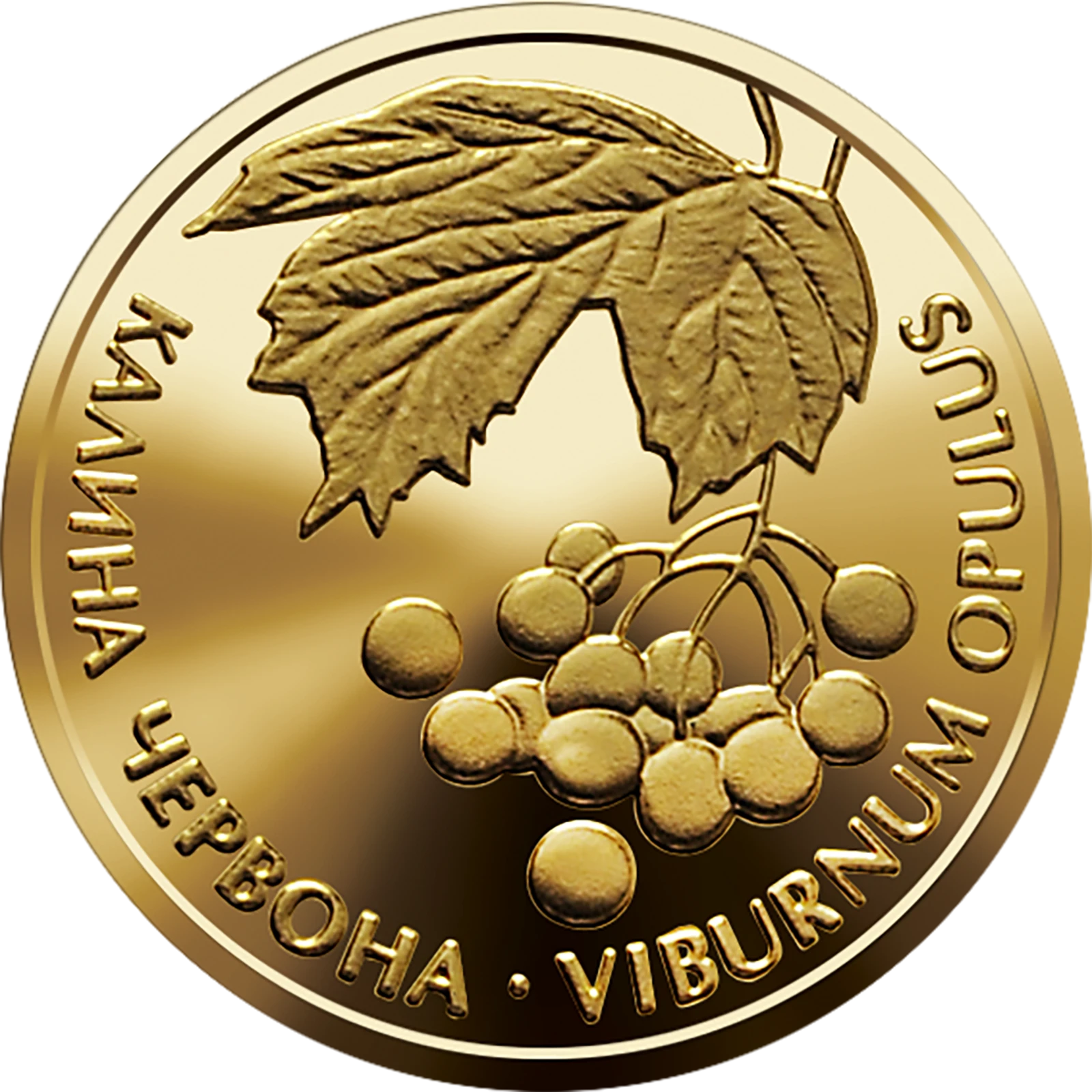 Реверс монети золота «Золота монета Калина червона», 2010 рік, 2 ₴