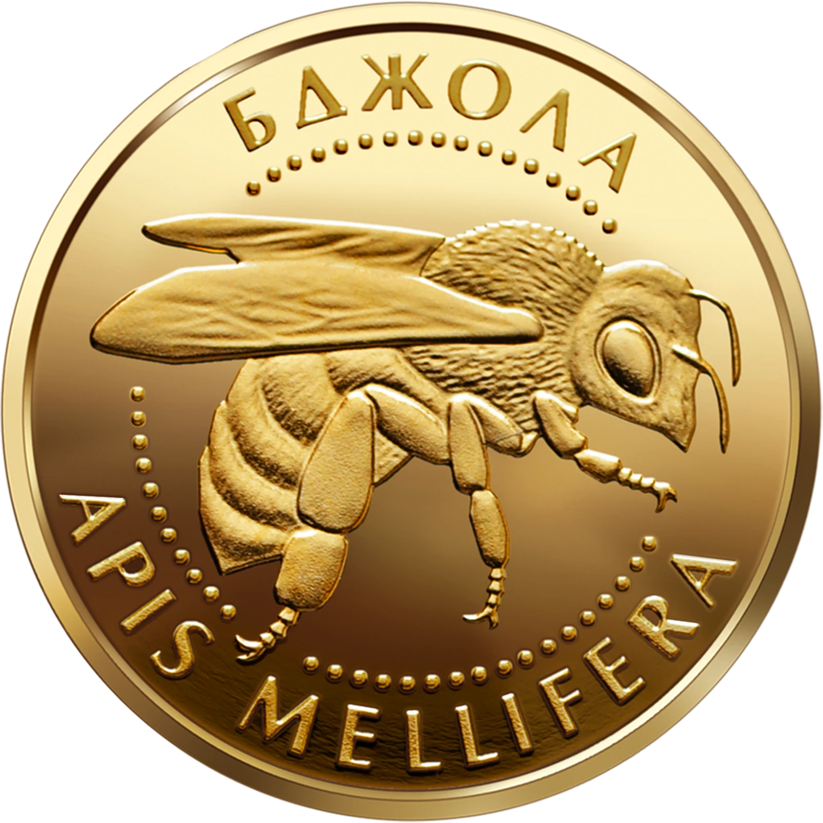 Реверс монети золота «Золота монета Бджола», 2010 рік, 2 ₴