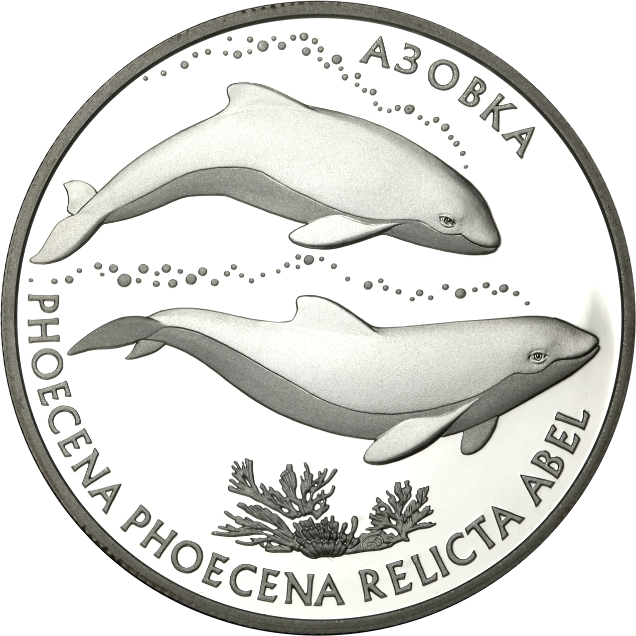 Реверс монети срібла «Срібна монета Азовка», 2004 рік, 10 ₴