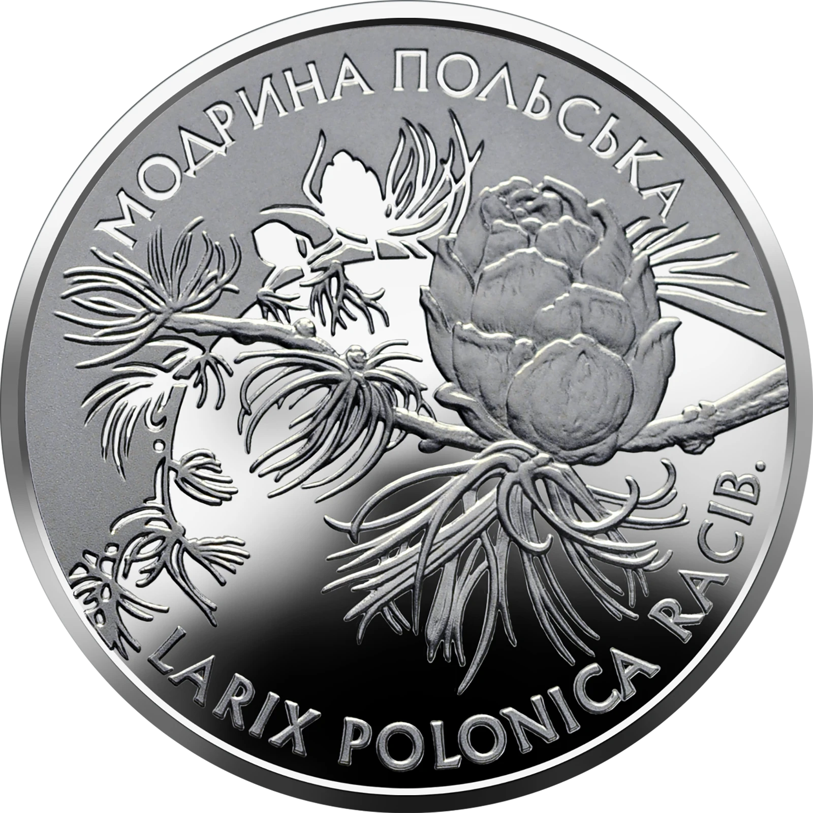 Реверс монети срібла «Срібна монета Модрина польська», 2001 рік, 10 ₴