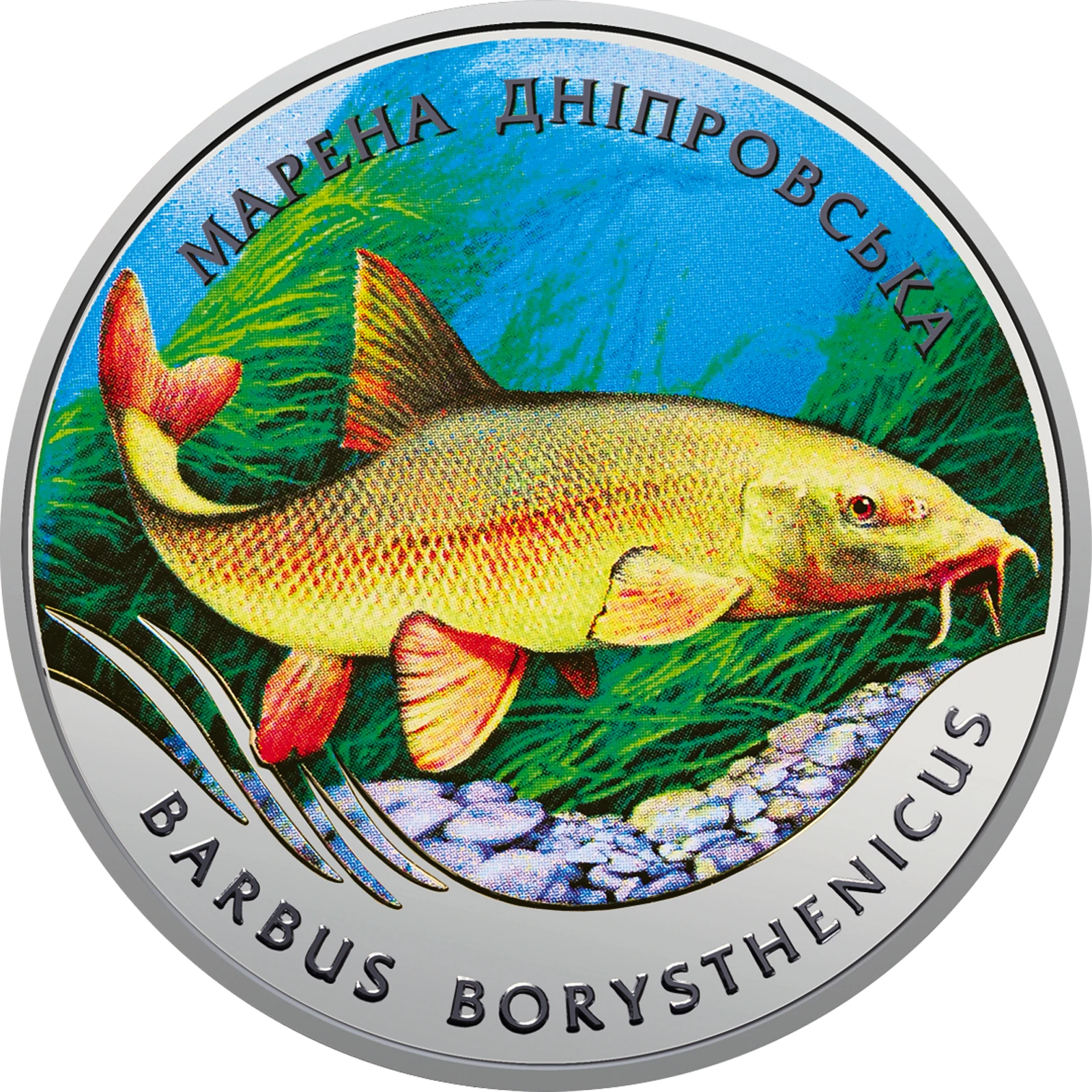 Реверс монети нейзильберу «Монета Марена дніпровська», 2018 рік, 2 ₴