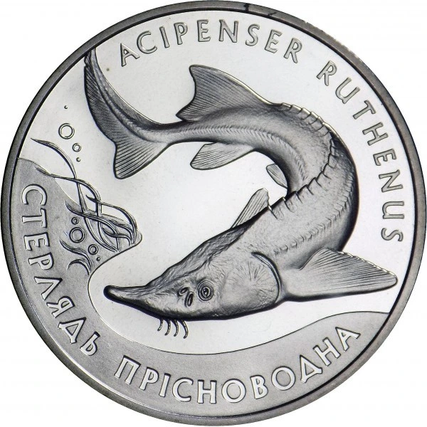 Реверс монети нейзильберу «Монета Стерлядь прісноводна», 2012 рік, 2 ₴
